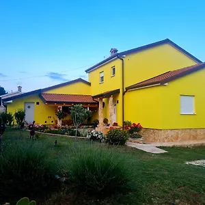 Boro Galižana